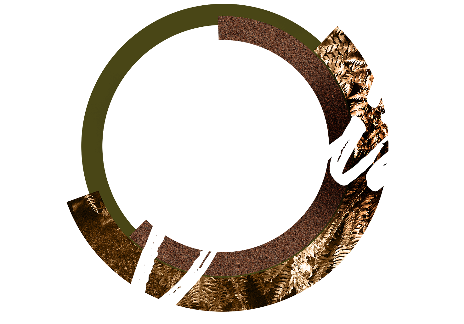Logo Quiz Oscar Calçados