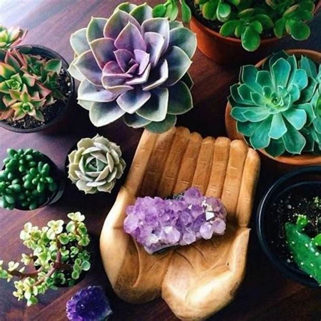 Par de mão no meio de suculentas de decoração segurando um cristal de ametista 