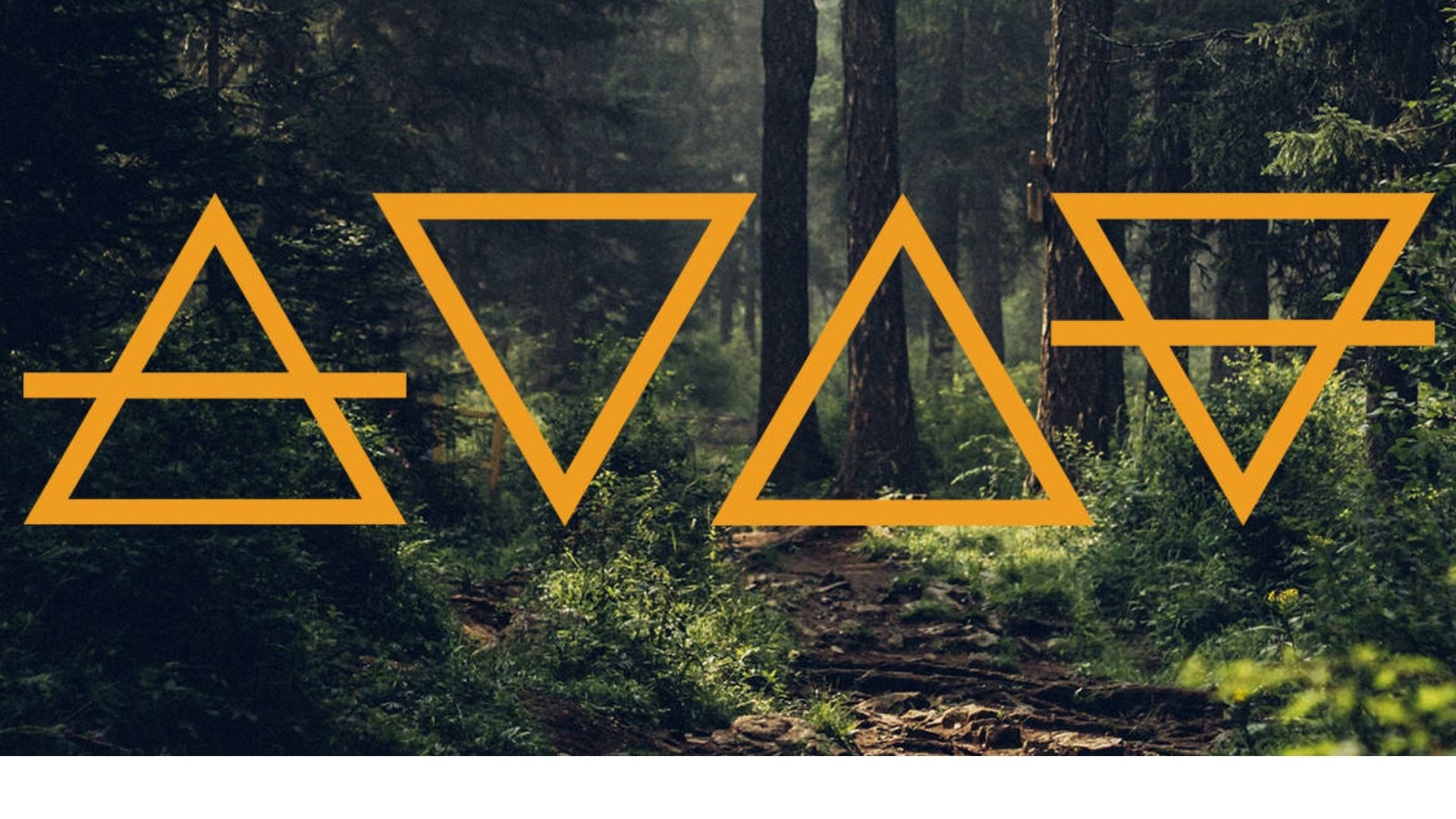 Imagem de uma floresta com o símbolo dos quatro elementos do zodíaco que representam os signos 