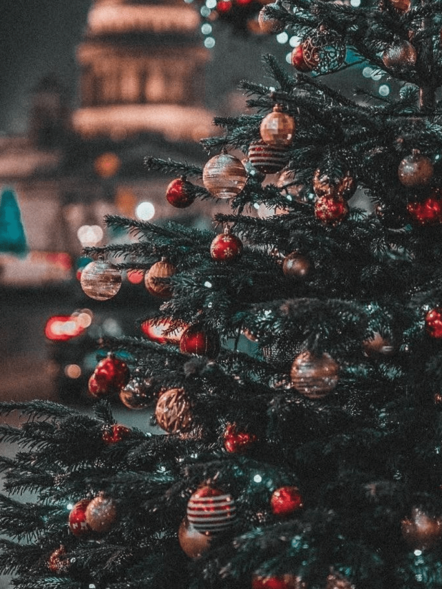 Look Para Natal – As Melhores Dicas Para Arrasar!