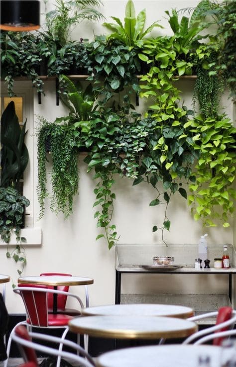 Jardim suspenso com muitas plantas em um cantinho com muitas mesas